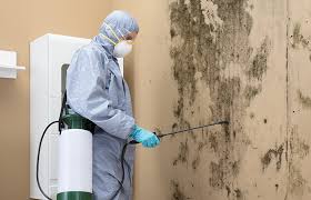 Best Mold Damage Restoration  in West Long Branch, NJ